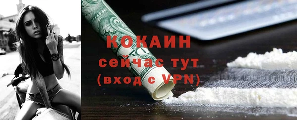 индика Липки