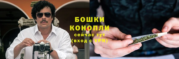 гидра Лихославль