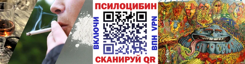 MEGA маркетплейс  Талица  Псилоцибиновые грибы Psilocybe 
